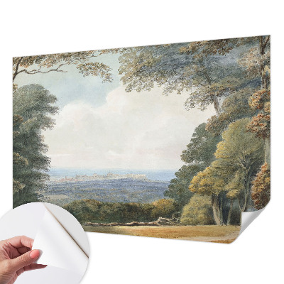 Papier peint chambre adulte cocooning Zalesnená krajina