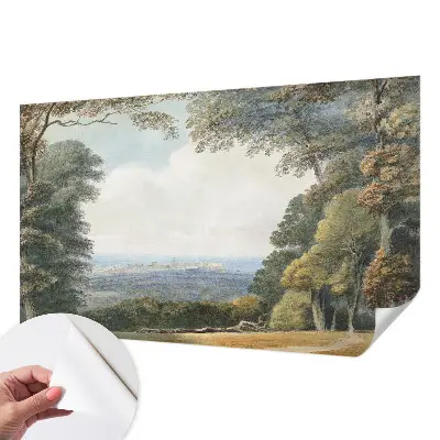 Papier peint photographique intissé paysage boisé