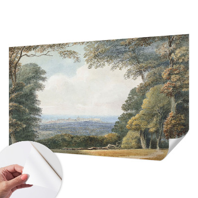 Papier peint chambre adulte cocooning Zalesnená krajina