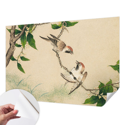 Papier peint chambre garçon Klasické duo