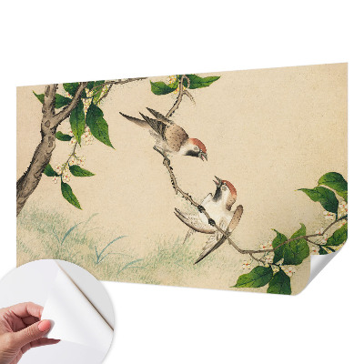 Papier peint chambre garçon Klasické duo