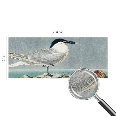 Papier peint photo imprimé sur tissu non tissé l'élégance ornithologique