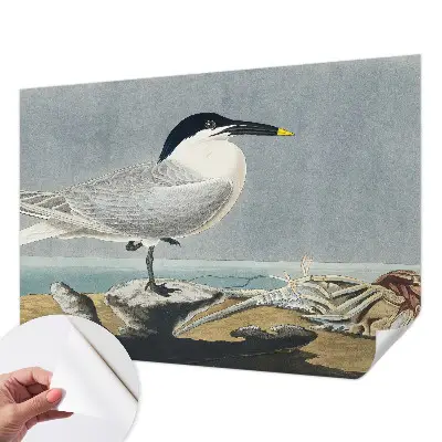Papier peint photo imprimé sur tissu non tissé l'élégance ornithologique