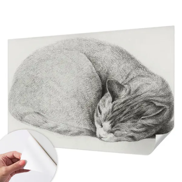 Papier peint intissé imprimé Chat enroulé