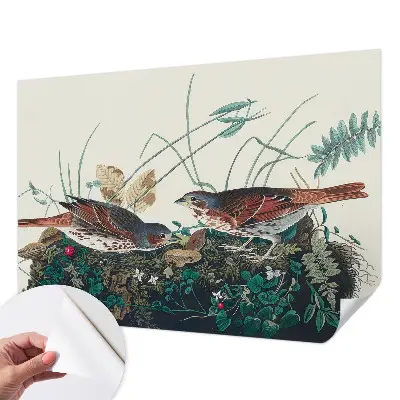 Papier peint photographique sur tissu non tissé Le charme de la nature
