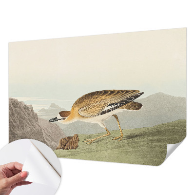 Papier peint chambre garçon Horský vták