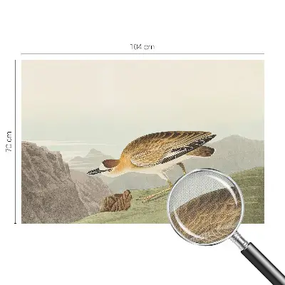 Papier peint intissé imprimé oiseau de montagne