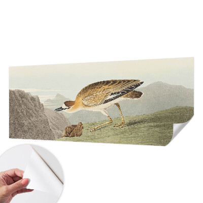 Papier peint chambre garçon Horský vták