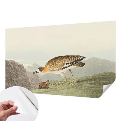 Papier peint intissé imprimé oiseau de montagne