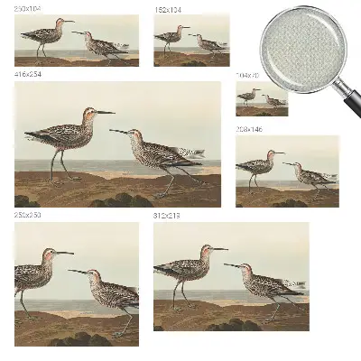 Papier peint photographique sur tissu non tissé silhouettes d'oiseaux