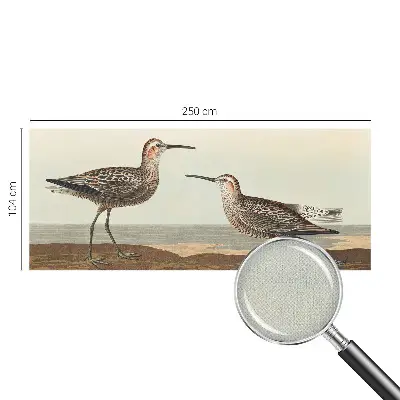 Papier peint photographique sur tissu non tissé silhouettes d'oiseaux