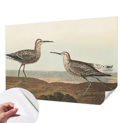Papier peint photographique sur tissu non tissé silhouettes d'oiseaux