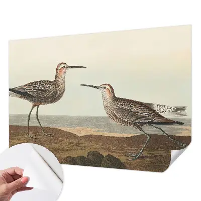 Papier peint photographique sur tissu non tissé silhouettes d'oiseaux