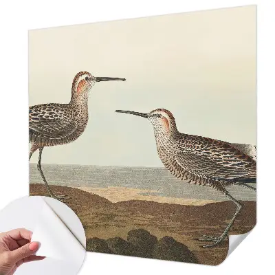 Papier peint photographique sur tissu non tissé silhouettes d'oiseaux