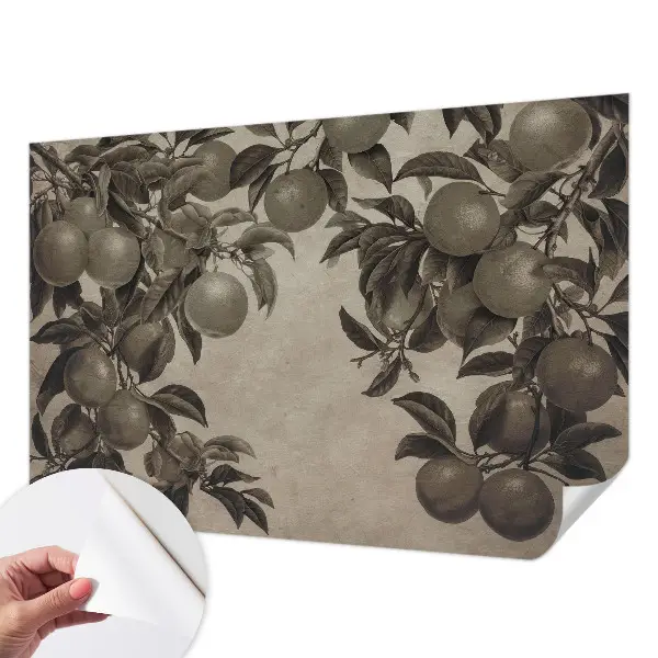 Papier peint photographique intissé Modèle de fruit