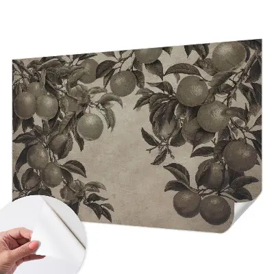 Papier peint photographique intissé Modèle de fruit