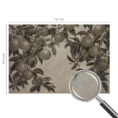 Papier peint photographique intissé Modèle de fruit