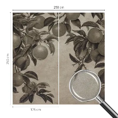 Papier peint photographique intissé Modèle de fruit