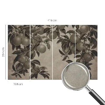 Papier peint photographique intissé Modèle de fruit