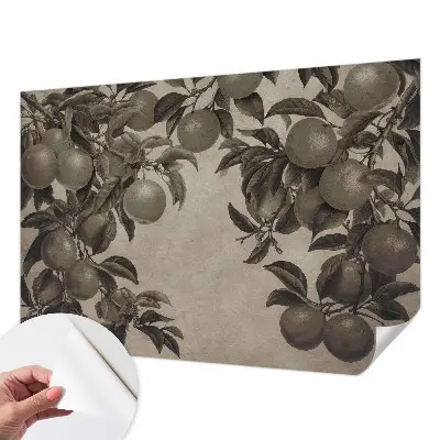Papier peint photographique intissé Modèle de fruit