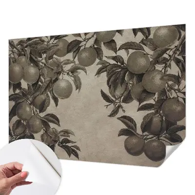 Papier peint photographique intissé Modèle de fruit
