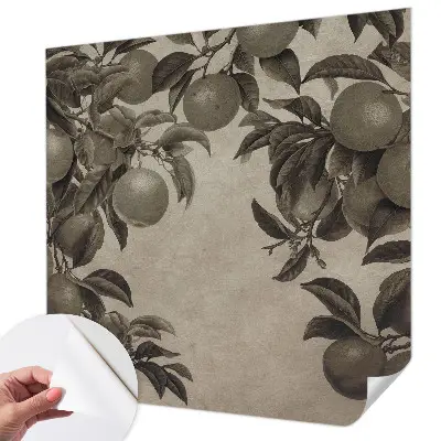 Papier peint photographique intissé Modèle de fruit