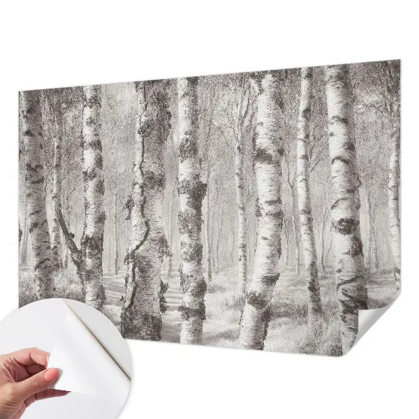 Papier peint photographique intissé forêt de bouleaux