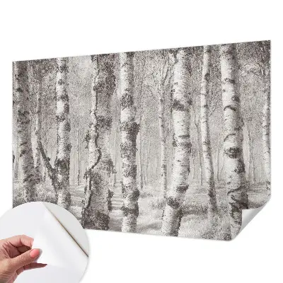 Papier peint photographique intissé forêt de bouleaux
