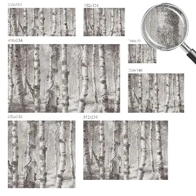 Papier peint photographique intissé forêt de bouleaux