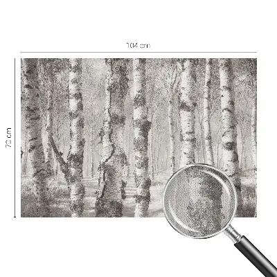 Papier peint photographique intissé forêt de bouleaux