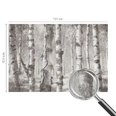 Papier peint photographique intissé forêt de bouleaux