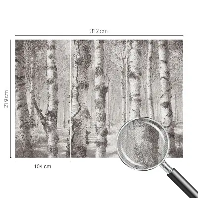 Papier peint photographique intissé forêt de bouleaux