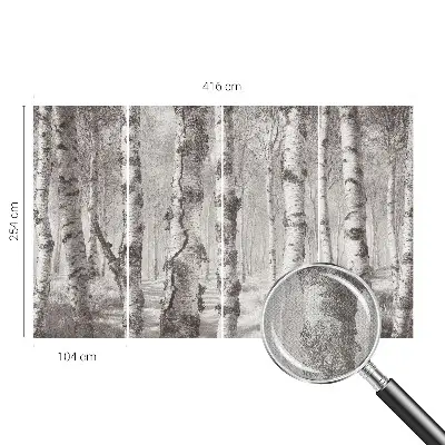 Papier peint photographique intissé forêt de bouleaux