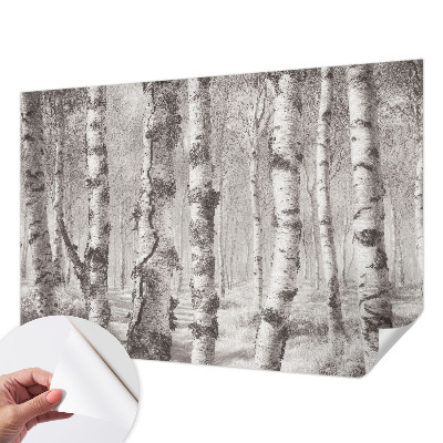 Papier peint tendance chambre adulte Brezový les