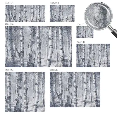 Papier peint photo imprimé sur tissu non tissé Nature glaciale