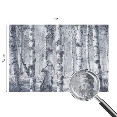 Papier peint photo imprimé sur tissu non tissé Nature glaciale