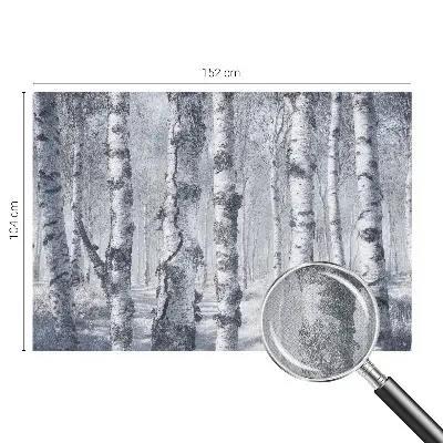 Papier peint photo imprimé sur tissu non tissé Nature glaciale