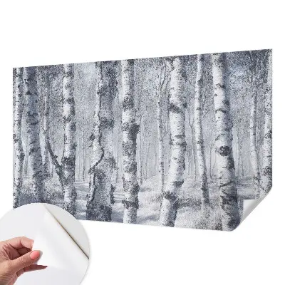 Papier peint photo imprimé sur tissu non tissé Nature glaciale