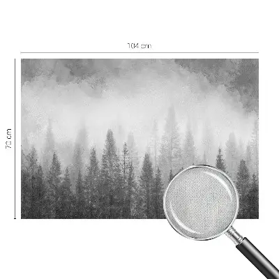 Papier peint photo grand format pour le mur brouillard forestier