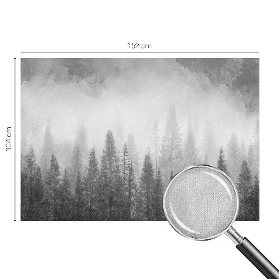 Papier peint photo grand format pour le mur brouillard forestier