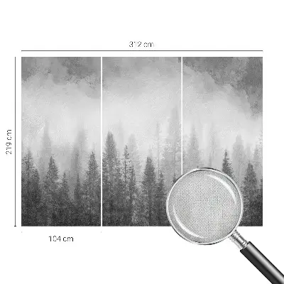 Papier peint photo grand format pour le mur brouillard forestier