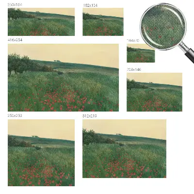 Papier peint photo grand format pour le mur Champs de pavots