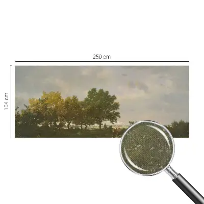 Papier peint photographique intissé paysage forestier