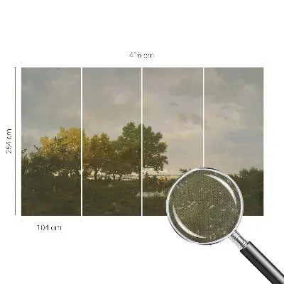 Papier peint photographique intissé paysage forestier