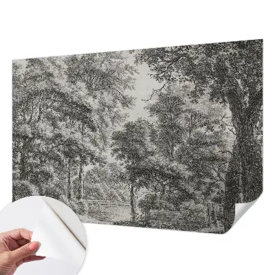 Papier peint photo grand format pour le mur paysage forestier