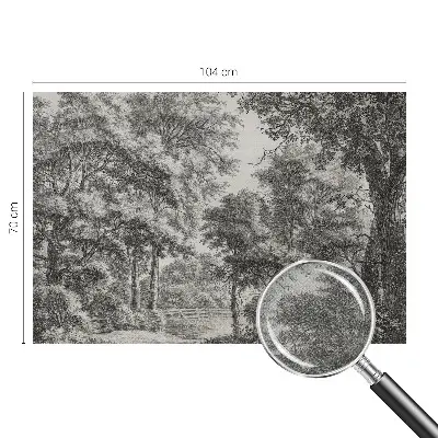 Papier peint photo grand format pour le mur paysage forestier