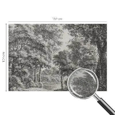 Papier peint photo grand format pour le mur paysage forestier