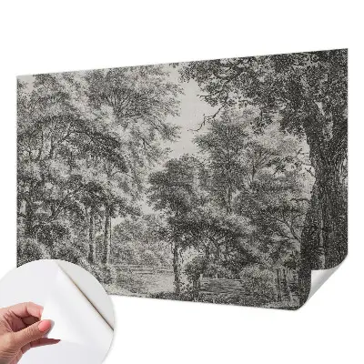 Papier peint photo grand format pour le mur paysage forestier