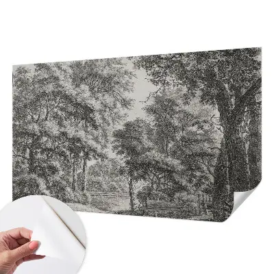Papier peint photo grand format pour le mur paysage forestier