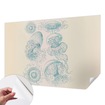Papier peint tendance chambre adulte Morské medúzy